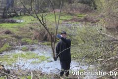 izobrazhenie_viber_2026-04-18_12-06-52-284