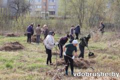 izobrazhenie_viber_2026-04-18_12-06-57-642