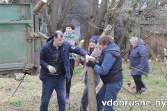 izobrazhenie_viber_2026-04-18_12-07-25-913