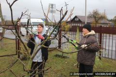 Дождливая погода не повлияла на настроения участников республиканского субботника Добрушского района