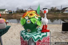 Открытие зоны отдыха в агрогородке Борщовка Добрушского района