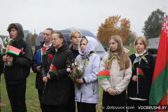 img_8546