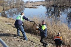 Весенний субботник сегодня объединил жителей Добрушчины общей целью - навести порядок на малой родине