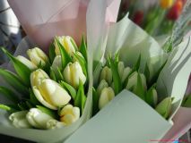 izobrazhenie_viber_2026-03-07_18-37-23-395