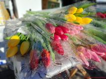 izobrazhenie_viber_2026-03-07_18-37-24-184