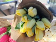 izobrazhenie_viber_2026-03-07_18-37-24-667