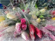 izobrazhenie_viber_2026-03-07_18-37-25-054