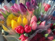 izobrazhenie_viber_2026-03-07_18-37-25-404