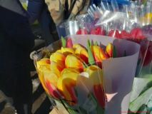 izobrazhenie_viber_2026-03-07_18-37-25-701