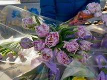 izobrazhenie_viber_2026-03-07_18-37-26-637