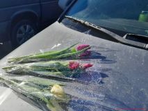 izobrazhenie_viber_2026-03-07_18-39-12-552