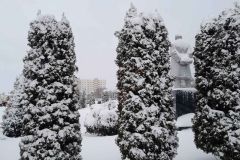 Зима -  это время, когда даже самые простые вещи становятся волшебными. Заснеженный Добруш в объективе журналиста "ДК"