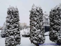 izobrazhenie_viber_2026-01-11_11-53-00-021