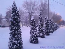 izobrazhenie_viber_2026-01-11_11-53-00-364