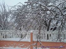 izobrazhenie_viber_2026-01-11_11-53-01-189