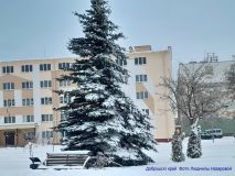 izobrazhenie_viber_2026-01-11_11-53-02-308