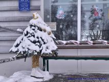 izobrazhenie_viber_2026-01-11_11-53-03-083