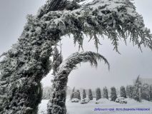 izobrazhenie_viber_2026-01-11_11-53-33-579