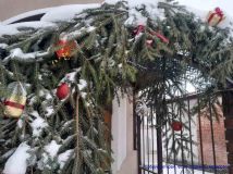 izobrazhenie_viber_2026-01-11_11-56-22-086