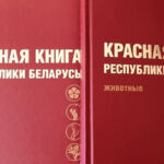 В Красную книгу Беларуси добавлены 13 видов животных и 5 видов растений
