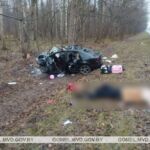 Добрушские следователи устанавливают обстоятельства дорожно-транспортного происшествия, в котором из-за столкновения с лосем погиб человек