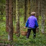 Найдена, жива! В Добрушском районе всю ночь искали потерявшуюся в лесу женщину