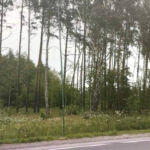 В Речицком районе от удара током погибли двое мужчин