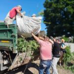 Чистота — дело общее: под таким девизом началось субботнее утро в Добруше