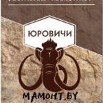 В Юровичах 16 августа пройдет фестиваль «Мамонт.BY».