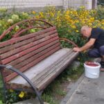 Как добрушане откликнулись на призыв принять участие  в наведении порядка на придомовых территориях