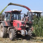Гаспадаркі Добрушчыны нарошчваюць аб’ёмы работ  па нарыхтоўцы кукурузнага сіласу