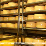 Белорусские товары составляют 94% российского импорта молочной продукции