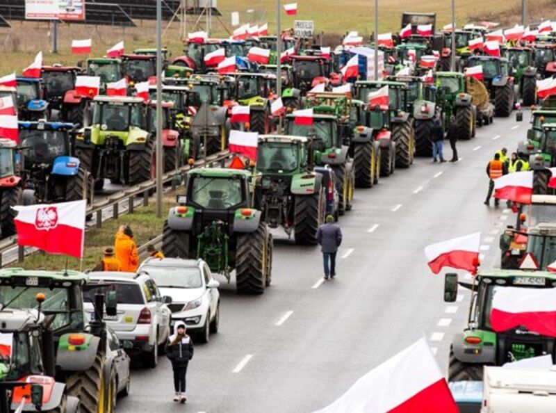 Как разнятся подходы к продовольственной безопасности в нашей стране и за рубежом