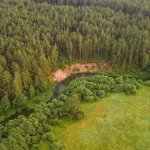 Зачем ежедневно смотреть карту горимости  и что означают ее цвета, рассказали в Гомельском  опытном лесхозе